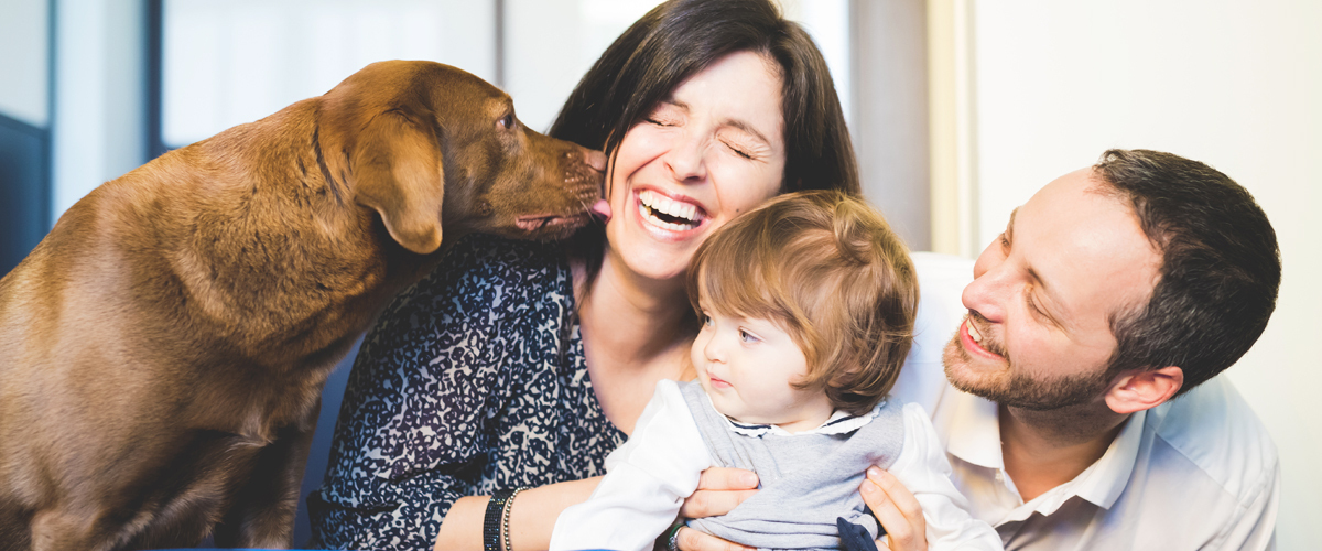 Parents with a baby and a dog.